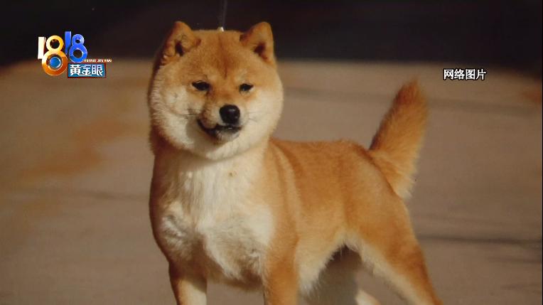 DƬ